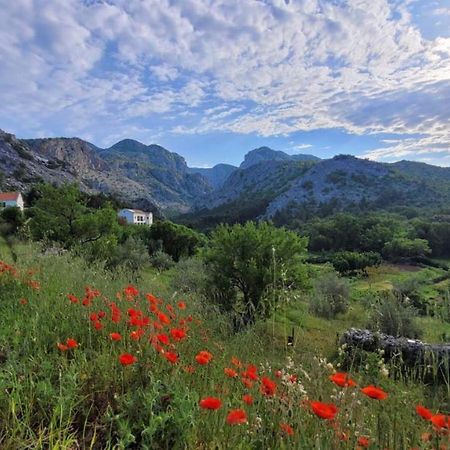 Apartments Paklenica Стариград-Пакленица Экстерьер фото